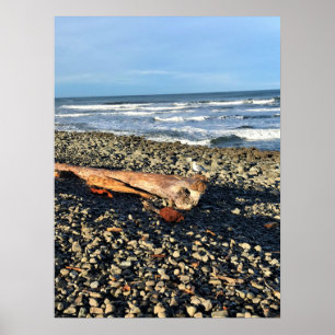 Affiche Cove at Seaside, Oregon