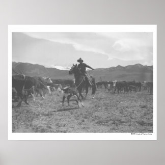 Affiche Cowboy qui fait un sabot pour la marque de printem