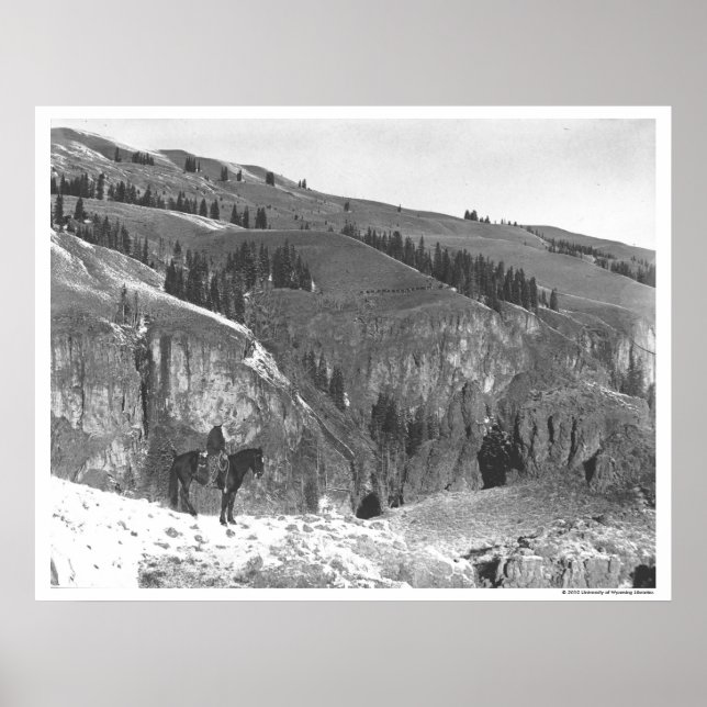 Affiche Cowboy s'est séparé de son troupeau. (Devant)