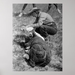 Affiche Cowgirl Giving TLC, années 1930