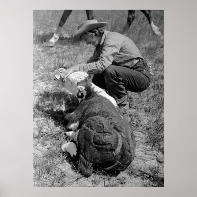 Affiche Cowgirl Giving TLC, années 1930 (Devant)