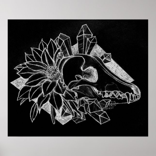 Affiche Coyote de cristal inversé  (Devant)