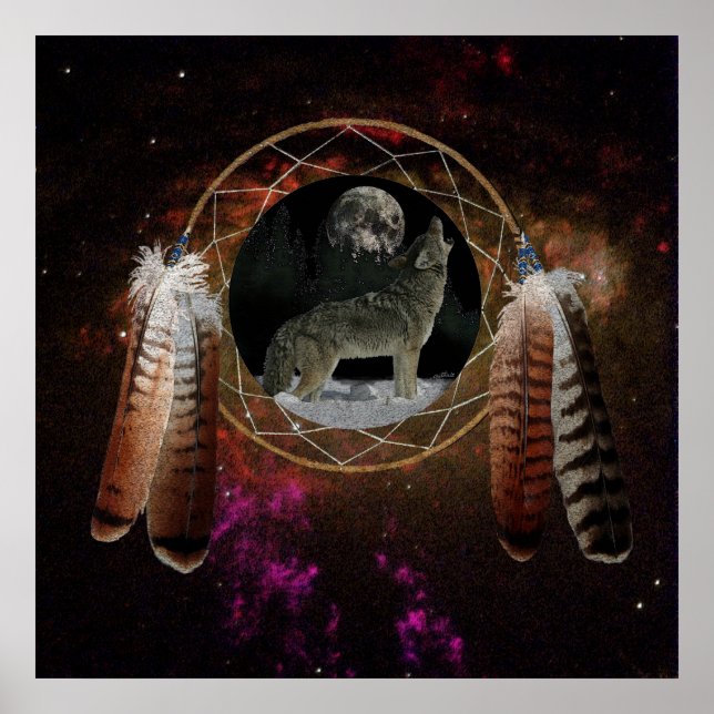 Affiche Coyote Spirit (Devant)