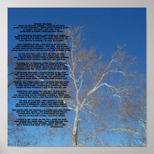 Affiche Crabby Old ManQue voyez-vous nur... - Customisé