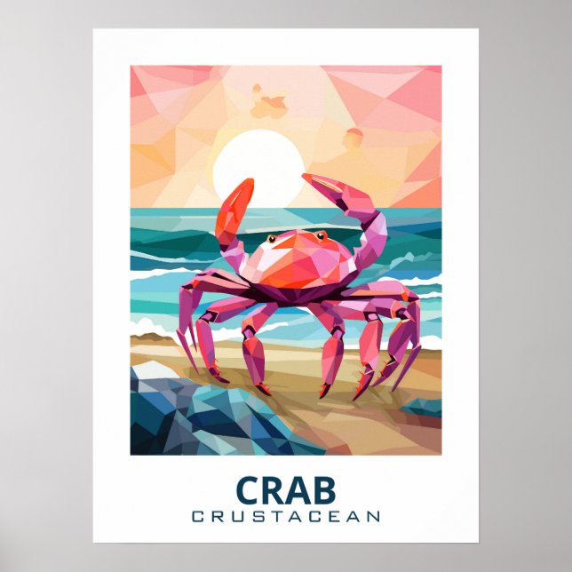 Affiche Crabe, crustacé Oeuvre pour les amateurs de nature (Devant)