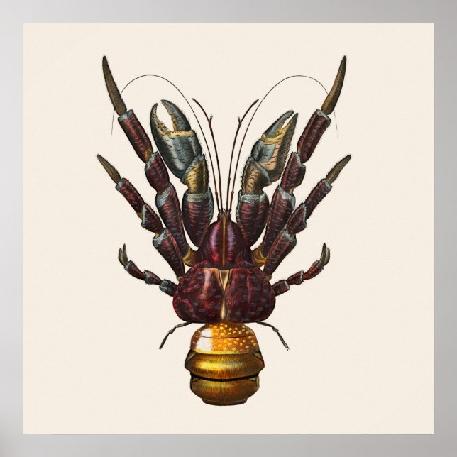 Affiche Crabe de coco (Devant)