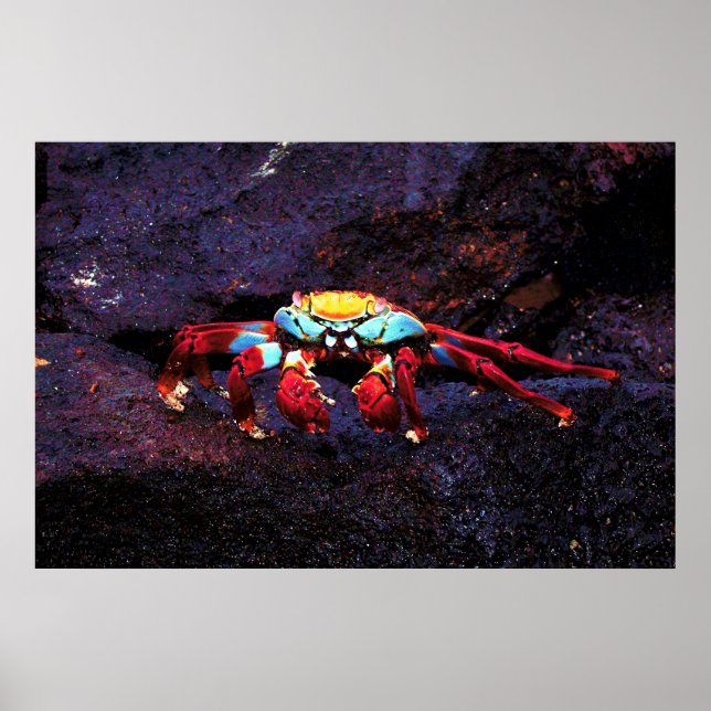 Affiche Crabe de Red Rock (Devant)
