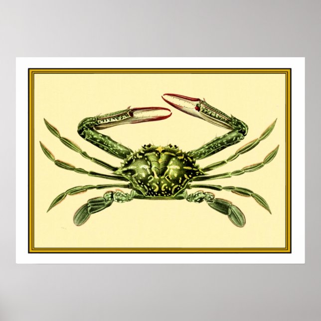 Affiche Crabe vintage (Devant)