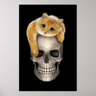 Affiche Crâne et chat