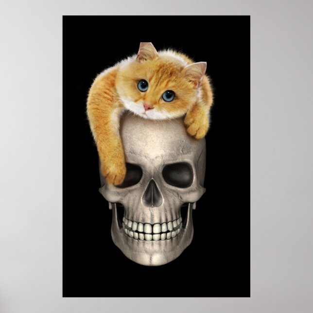 Affiche Crâne et chat (Devant)