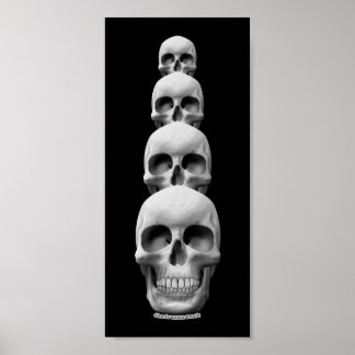 Affiche Crânes - Verticaux