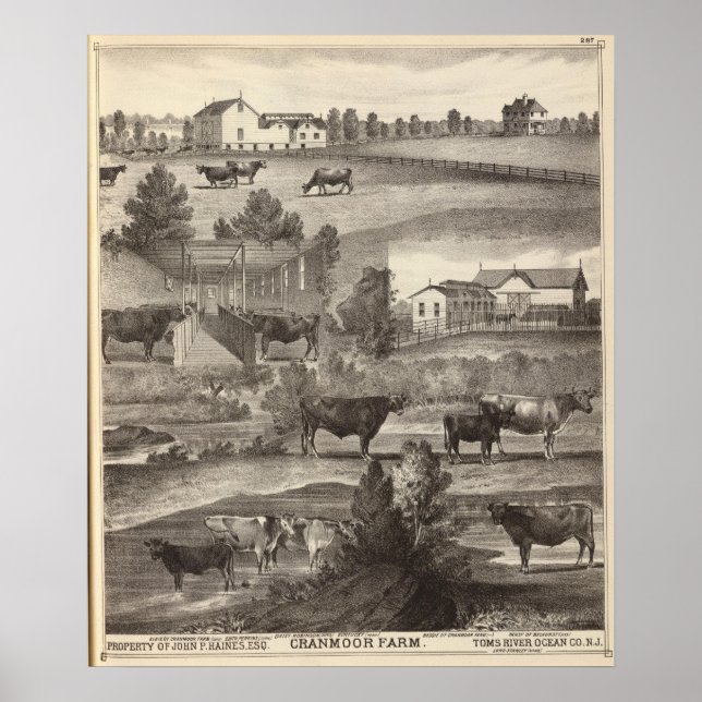Affiche Cranmoor Farm, Toms River, NJ (Devant)