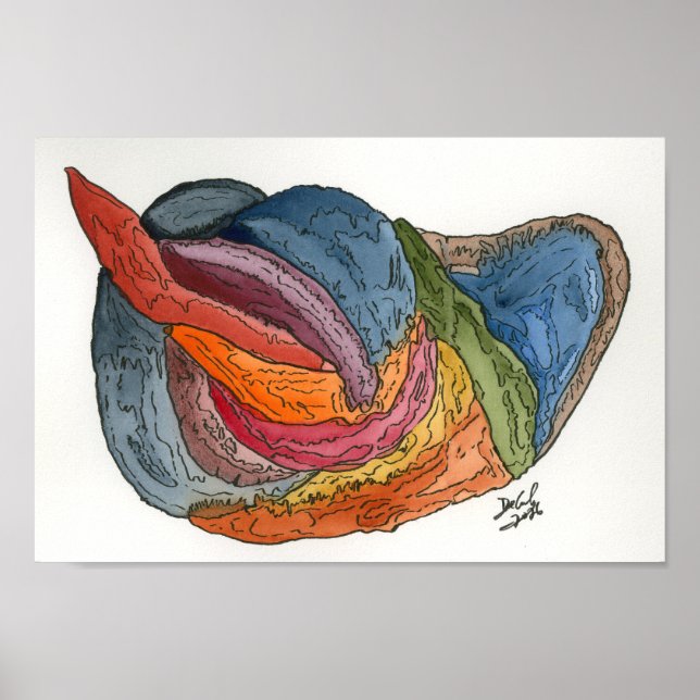 Affiche Crapaudpole (Devant)