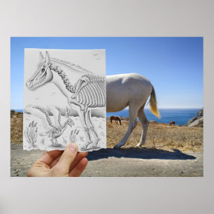 Affiche Crayon contre l'appareil-photo - rayon X