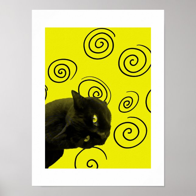Affiche Crazy Cat (Devant)