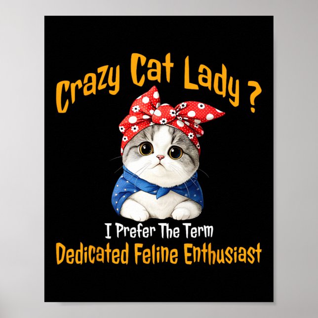 Affiche Crazy Chat Lady Je Préfère Le Terme Feline Dédiée (Devant)