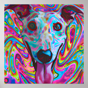 Affiche Crazy Funky Whippet Chien Portrait Art