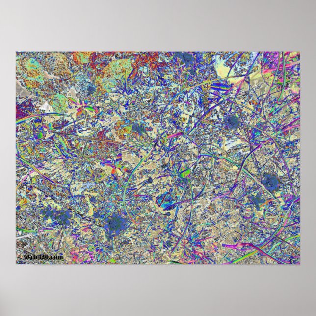 Affiche Crazy grass (Devant)