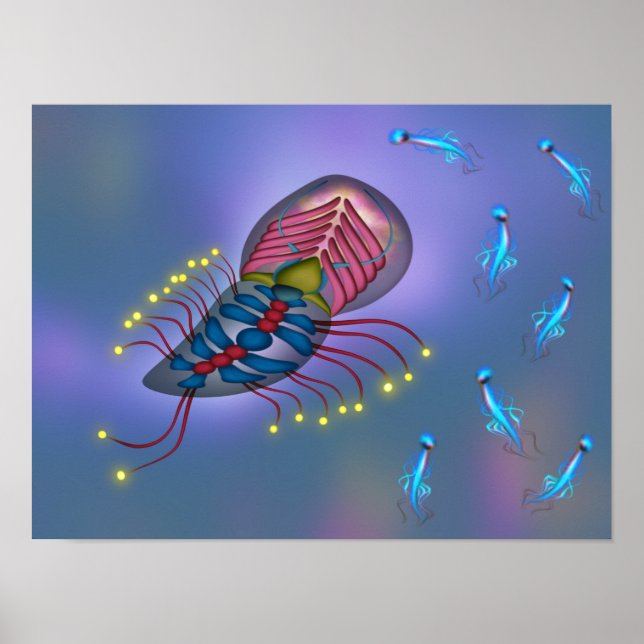Affiche Créature de mer profonde à bioluminescence de scie (Devant)
