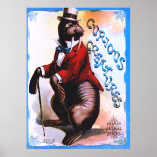 Affiche Créatures curieuses - Sceau