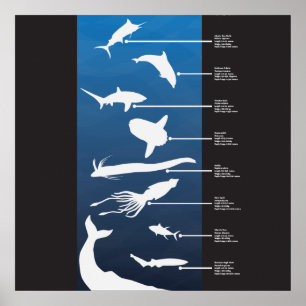 Affiche Créatures de l'océan ouvert