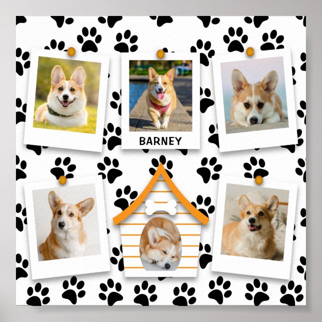 Affiche Créez Votre Propre Maison de Chien et Nom en Colla (Devant)