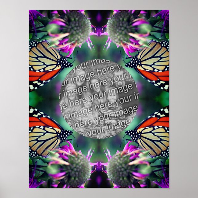 Affiche Créez Votre Propre Papillon Monarque Sur Le Cadre  (Devant)