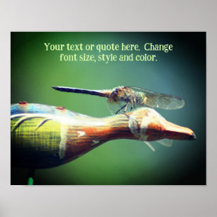 Affiche Créez votre propre texte Dragonfly Nature