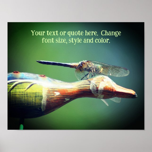 Affiche Créez votre propre texte Dragonfly Nature (Devant)