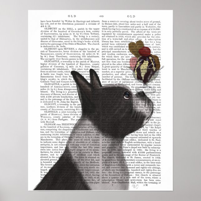 Affiche Crème glacée Boston Terrier (Devant)