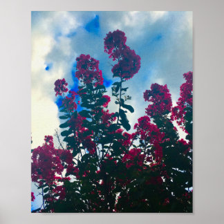 Affiche crepe myrtle on a cloudy day