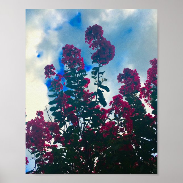 Affiche crepe myrtle on a cloudy day (Devant)