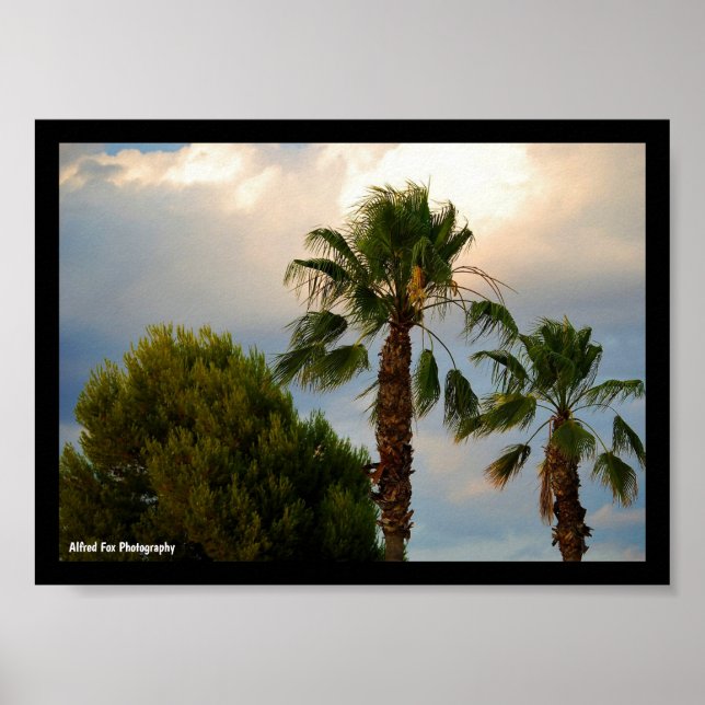 Affiche Crépuscule de palmiers tropicaux (Devant)