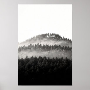 Affiche Crête de pins brumeux Forêt noir et blanc