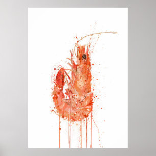 Affiche Crevette