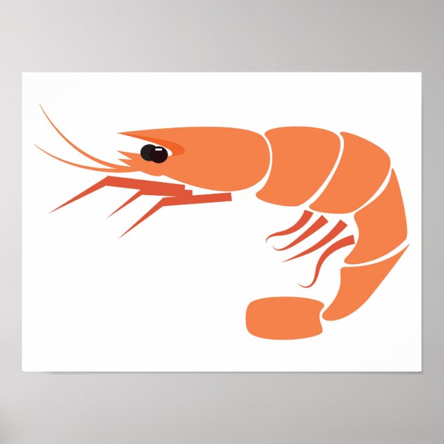 Affiche crevettes (Devant)