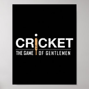 Affiche Cricket 14 