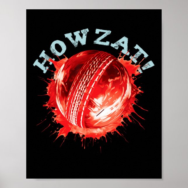 Affiche Cricket Fans S Howzat! Cricket Ll S Distressed Eff (Devant)