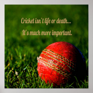 Affiche Cricket Red Ball drôle Motivation