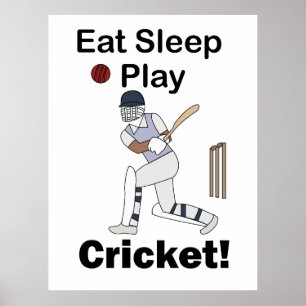 Affiche Cricket Sports Manger Dormir Jouer Cricket