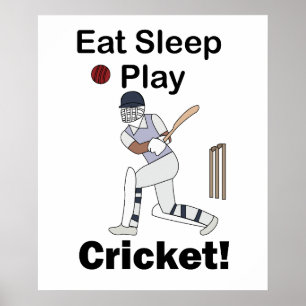 Affiche Cricket Sports Manger Dormir Jouer Cricket