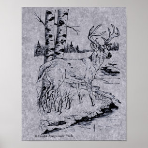 Affiche Crique de dessin d'encre de cerfs communs de mâle