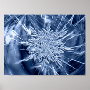 Affiche Cristal de glace de Snowflake