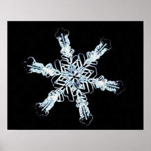 Affiche Cristal stellaire de neige