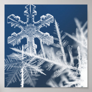 Affiche cristaux de neige