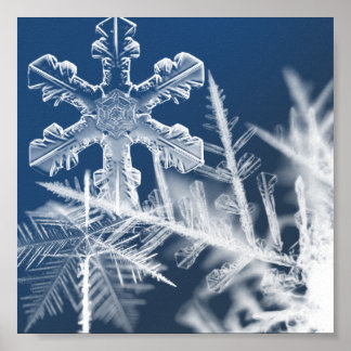 Affiche cristaux de neige