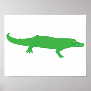 Affiche Crocodile