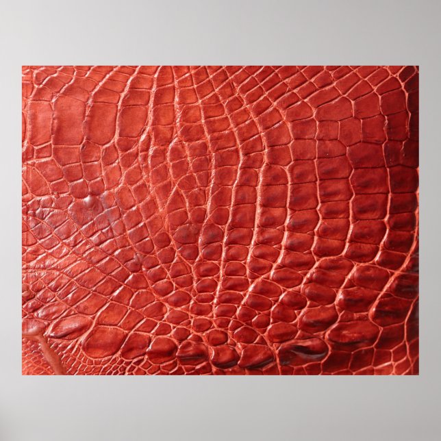 Affiche Crocodile leather texture (Devant)