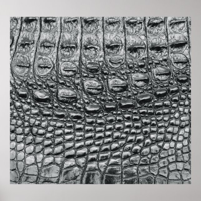 Affiche Crocodile Noir : Météo Noire Mystique (Devant)