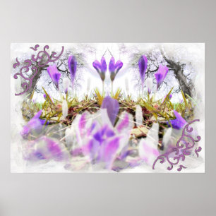 Affiche Crocus printaniers